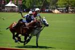 Highlight for Album: Argentine Open 2010