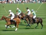 Highlight for Album: Polo Season 2006