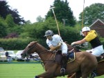 Gold Cup 3 105.jpg