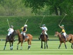 polo 1st weekend 032.jpg