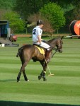 polo 1st weekend 036.jpg